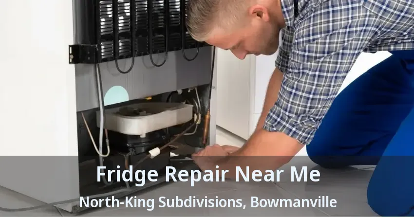 Fridge Repair Near Me North-King Subdivisions, Bowmanville - ON