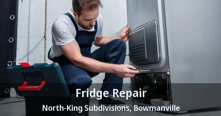 Fridge Repair North-King Subdivisions, Bowmanville - ON