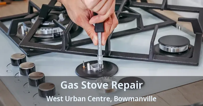 Gas Stove Repair West Urban Centre, Bowmanville - ON