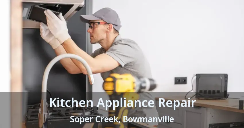 Kitchen Appliance Repair Soper Creek, Bowmanville - ON