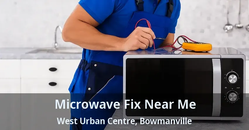 Microwave Fix Near Me West Urban Centre, Bowmanville - ON