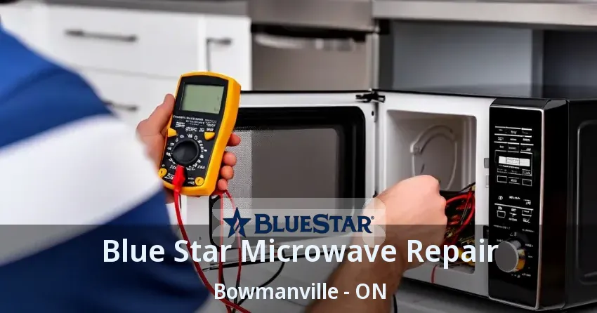 Blue Star Microwave Repair Bowmanville - ON