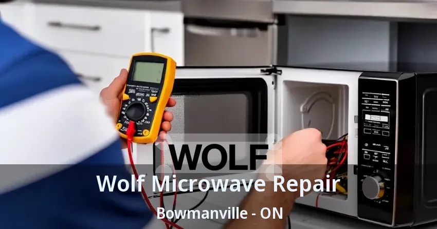 Wolf Microwave Repair Bowmanville - ON