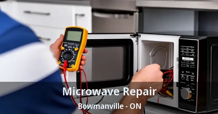 Microwave Repair Bowmanville - ON