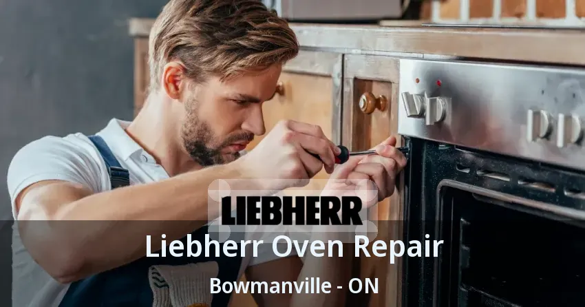 Liebherr Oven Repair Bowmanville - ON