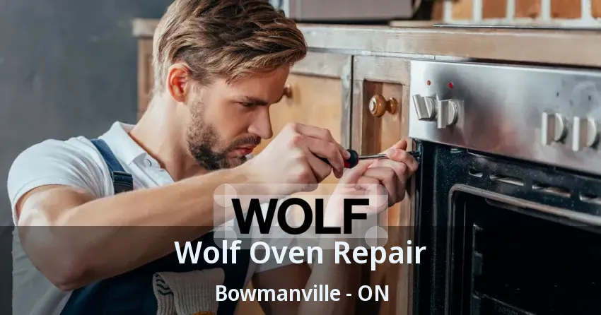 Wolf Oven Repair Bowmanville - ON