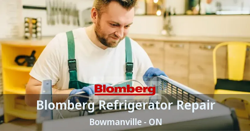 Blomberg Refrigerator Repair Bowmanville - ON
