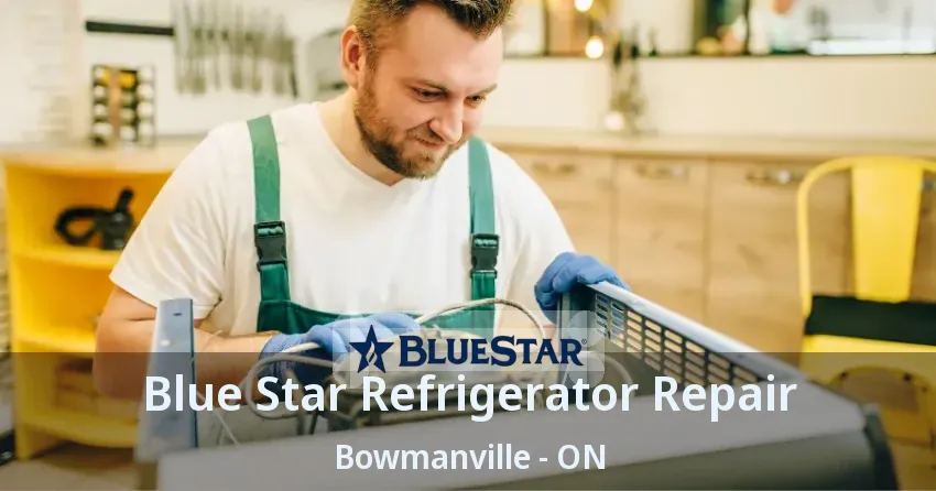 Blue Star Refrigerator Repair Bowmanville - ON