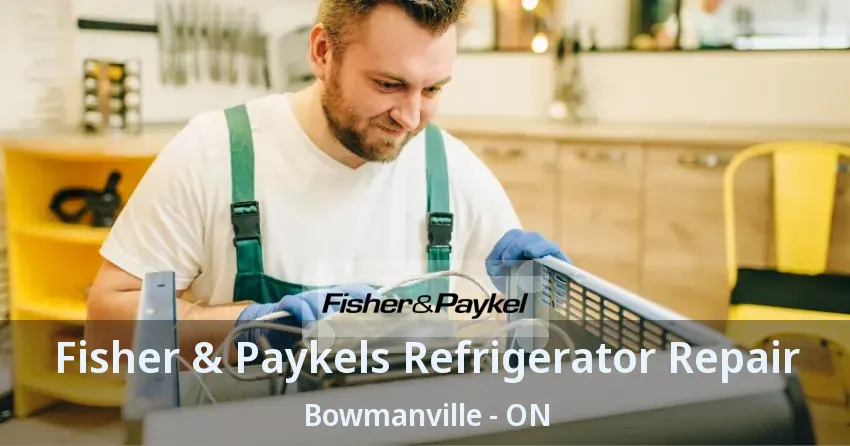 Fisher & Paykels Refrigerator Repair Bowmanville - ON