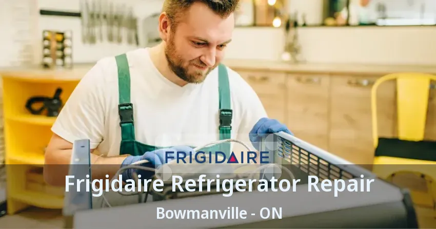 Frigidaire Refrigerator Repair Bowmanville - ON