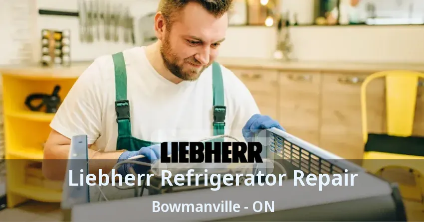 Liebherr Refrigerator Repair Bowmanville - ON