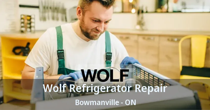 Wolf Refrigerator Repair Bowmanville - ON