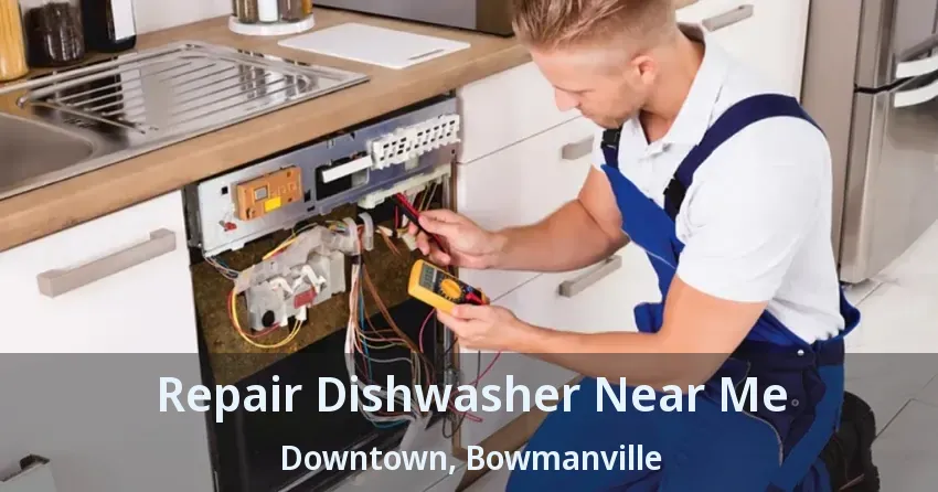 Repair Dishwasher Near Me Downtown, Bowmanville - ON