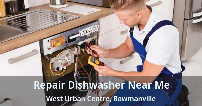 Repair Dishwasher Near Me West Urban Centre, Bowmanville - ON