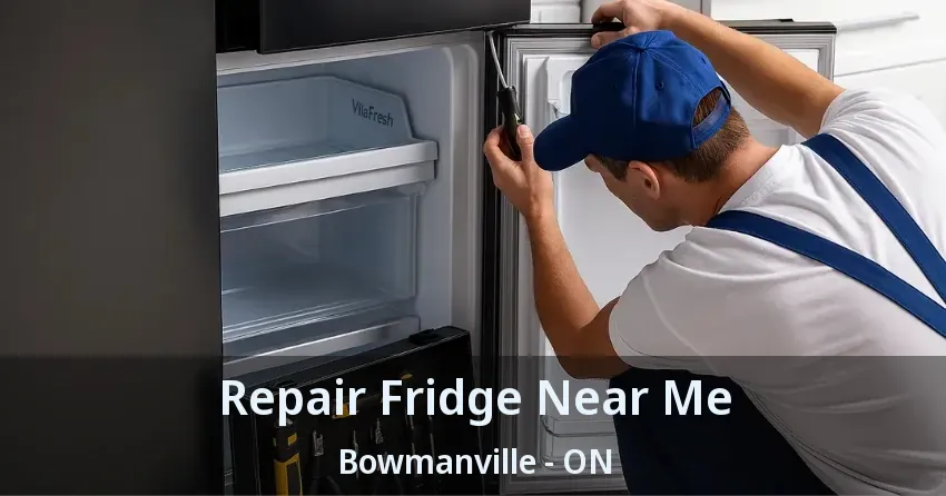 Repair Fridge Near Me Bowmanville - ON