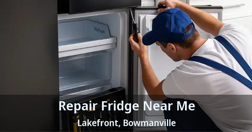 Repair Fridge Near Me Lakefront, Bowmanville - ON