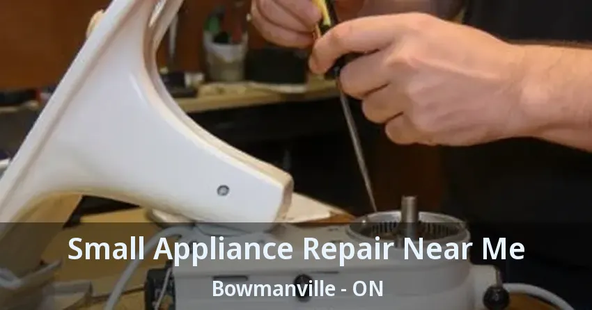 Small Appliance Repair Near Me Bowmanville - ON
