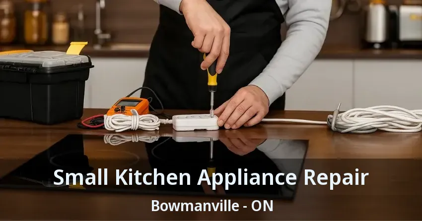 Small Kitchen Appliance Repair Bowmanville - ON