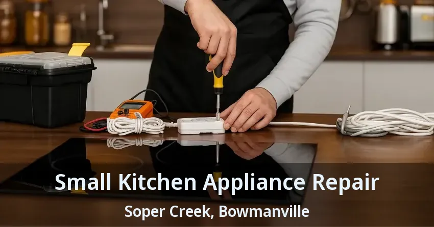 Small Kitchen Appliance Repair Soper Creek, Bowmanville - ON