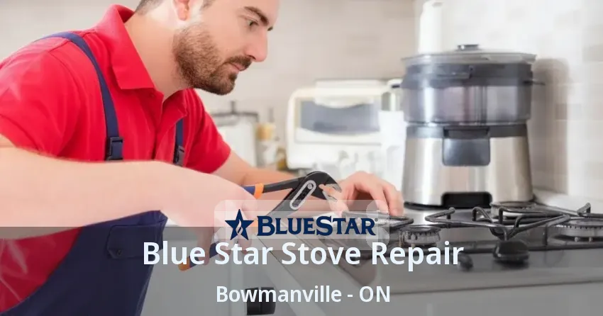 Blue Star Stove Repair Bowmanville - ON