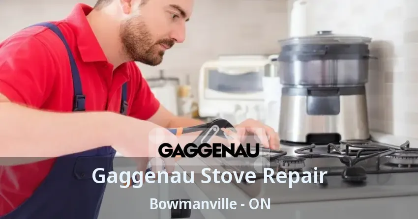 Gaggenau Stove Repair Bowmanville - ON
