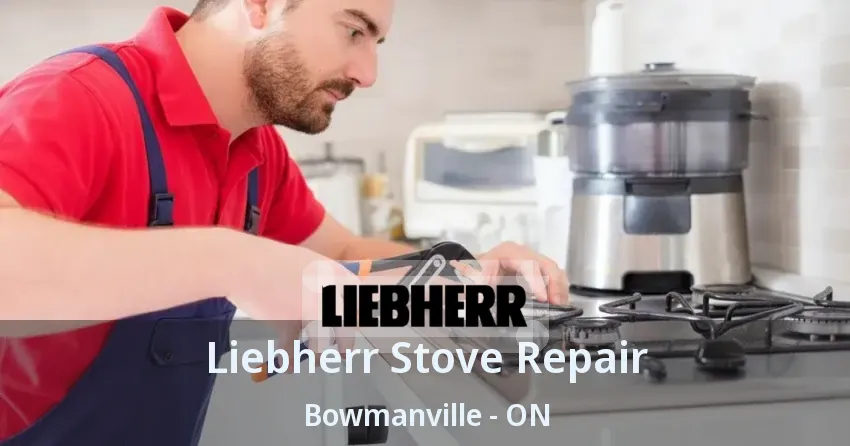 Liebherr Stove Repair Bowmanville - ON