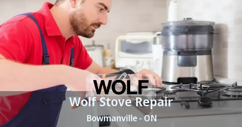 Wolf Stove Repair Bowmanville - ON