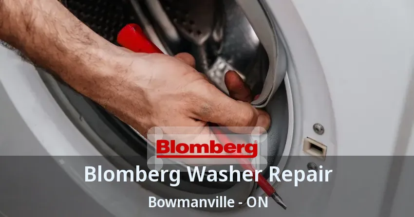 Blomberg Washer Repair Bowmanville - ON