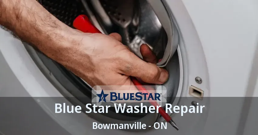 Blue Star Washer Repair Bowmanville - ON