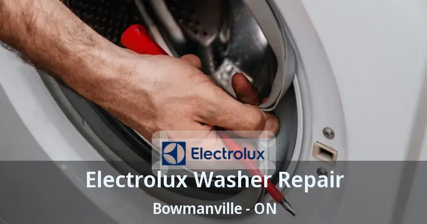 Electrolux Washer Repair Bowmanville - ON