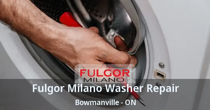 Fulgor Milano Washer Repair Bowmanville - ON
