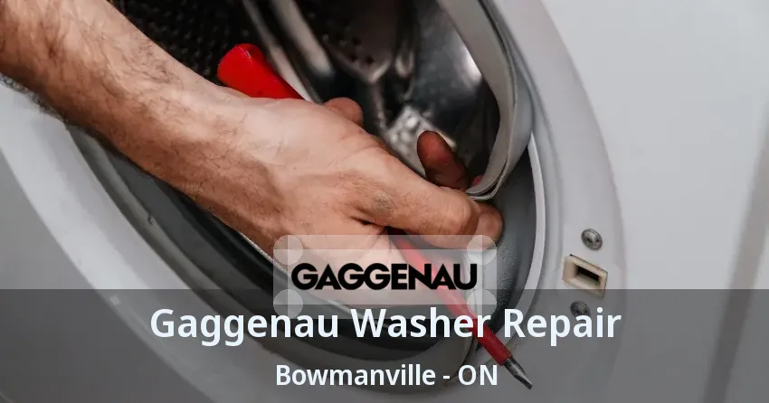 Gaggenau Washer Repair Bowmanville - ON