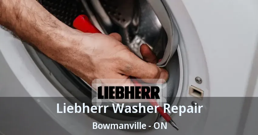 Liebherr Washer Repair Bowmanville - ON