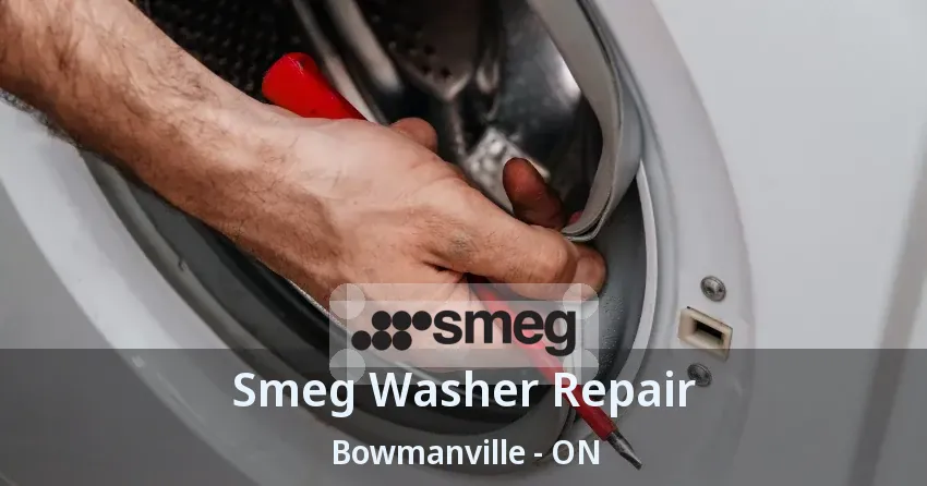 Smeg Washer Repair Bowmanville - ON