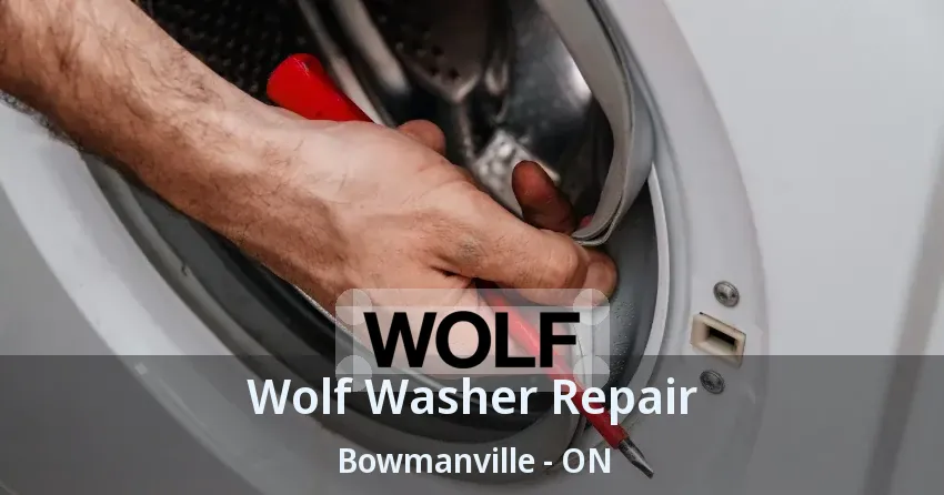 Wolf Washer Repair Bowmanville - ON